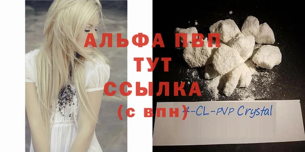 шишки Абаза