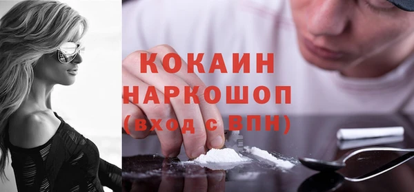 шишки Абаза