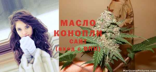 индика Пролетарск