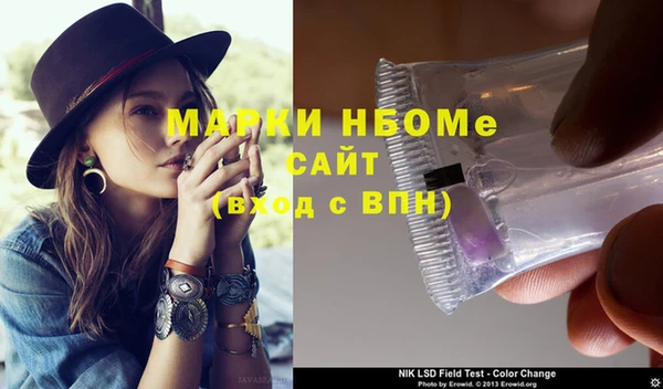 шишки Абаза
