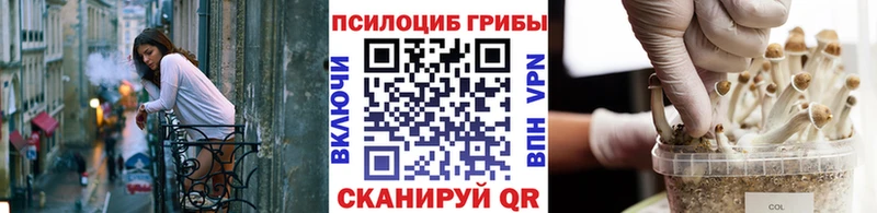 наркотики  мега ONION  Галлюциногенные грибы мухоморы  Каменск-Шахтинский 