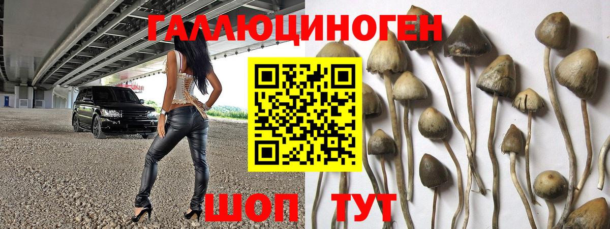 Галлюциногенные грибы Cubensis  Вход с VPN  Галлюциногенные грибы мухоморы  Каменск-Шахтинский 
