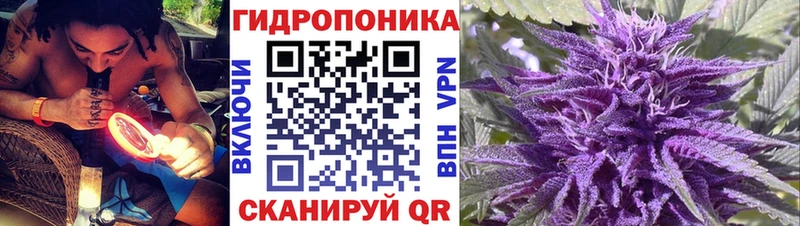 магазин продажи   Каменск-Шахтинский  Бошки марихуана гибрид 