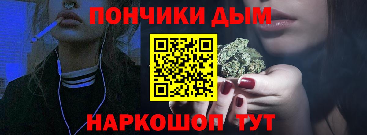 Шишки марихуана семена Каменск-Шахтинский
